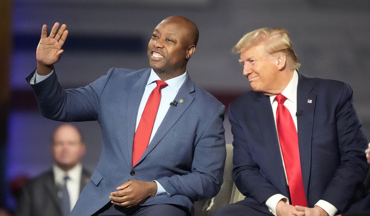 NextImg:Tim Scott holds nothing back in endorsement of Donald Trump
