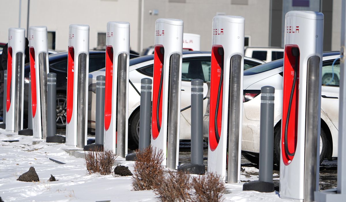 NextImg:Tesla sales slow as electric vehicle competition mounts