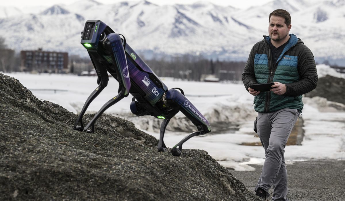 NextImg:Robot disguised as a coyote or fox will scare wildlife away from runways at Alaska airport