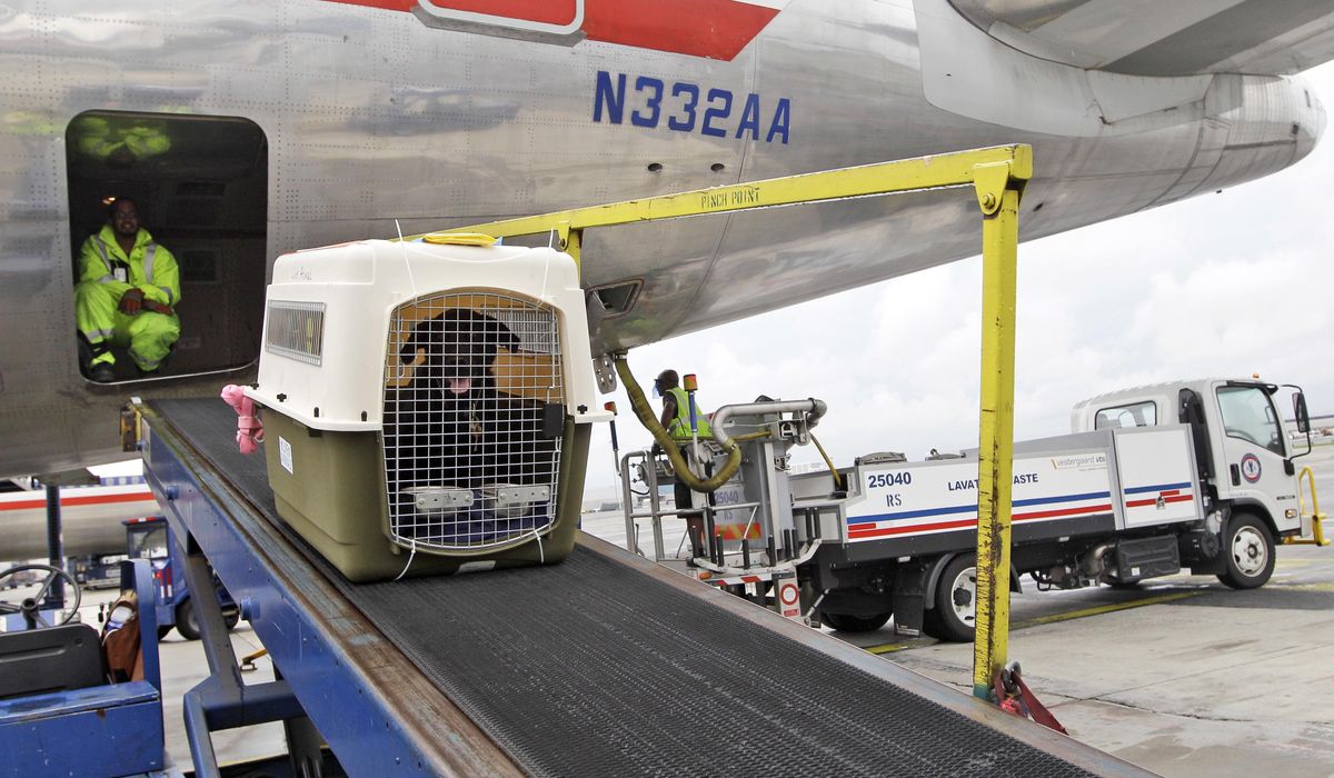 NextImg:A big airline is relaxing its pet policy to let owners bring the companion and a rolling carry-on