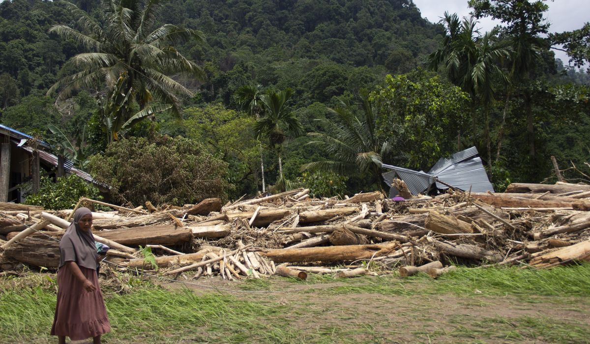 NextImg:In Indonesia, deforestation is intensifying disasters from severe weather and climate change