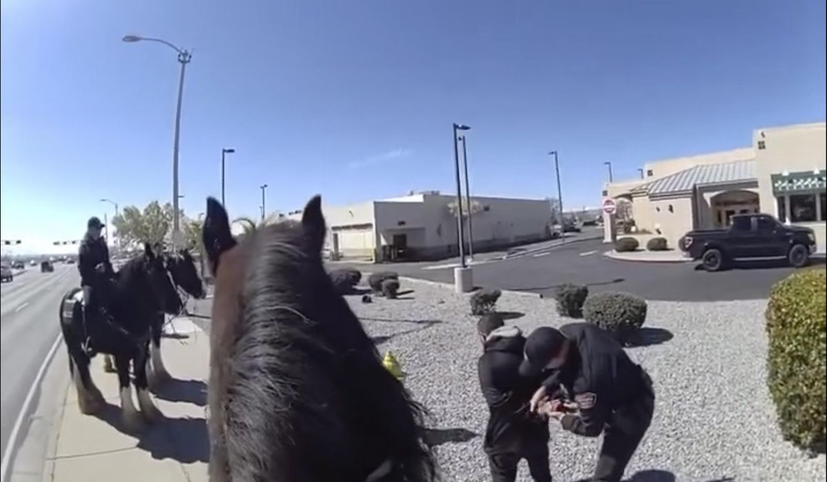 NextImg:Shoplifter chased by police on horses in New Mexico, video shows