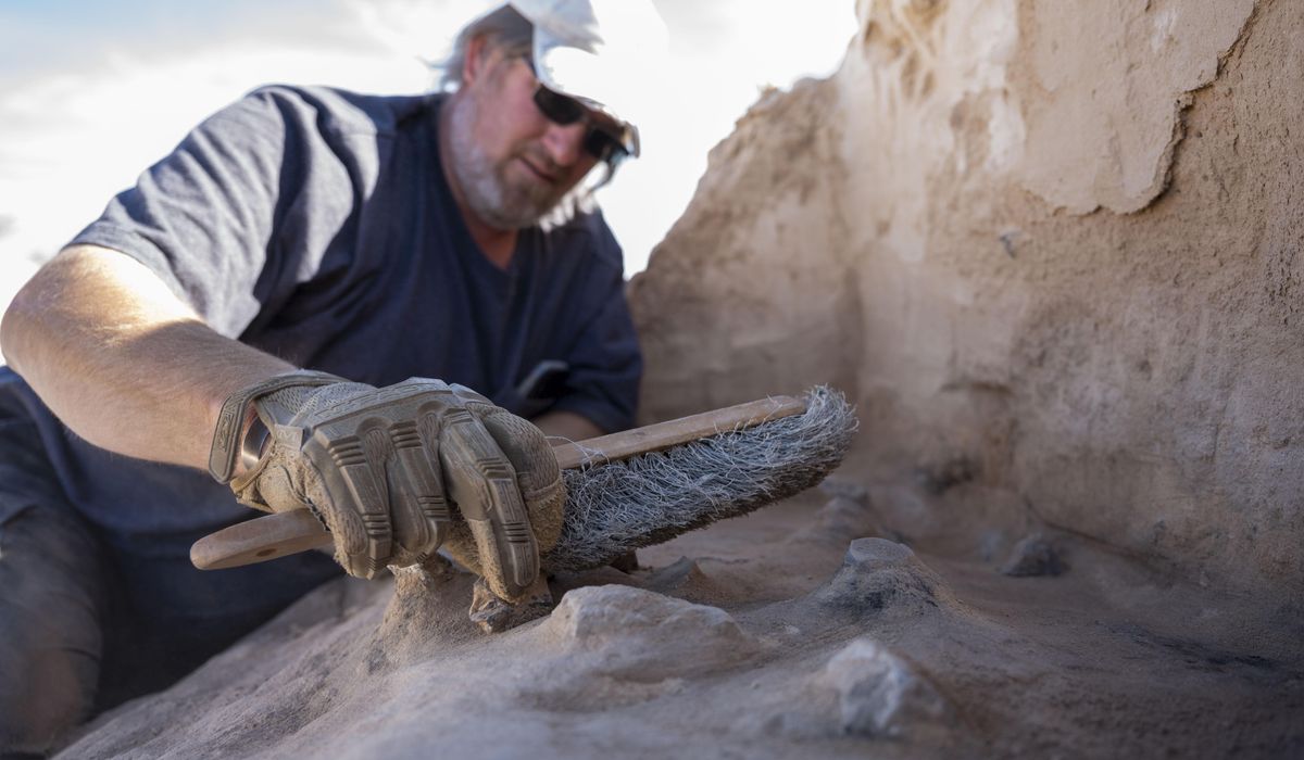 NextImg:8,200-year-old archaeological site uncovered at New Mexico’s Holloman Air Force Base