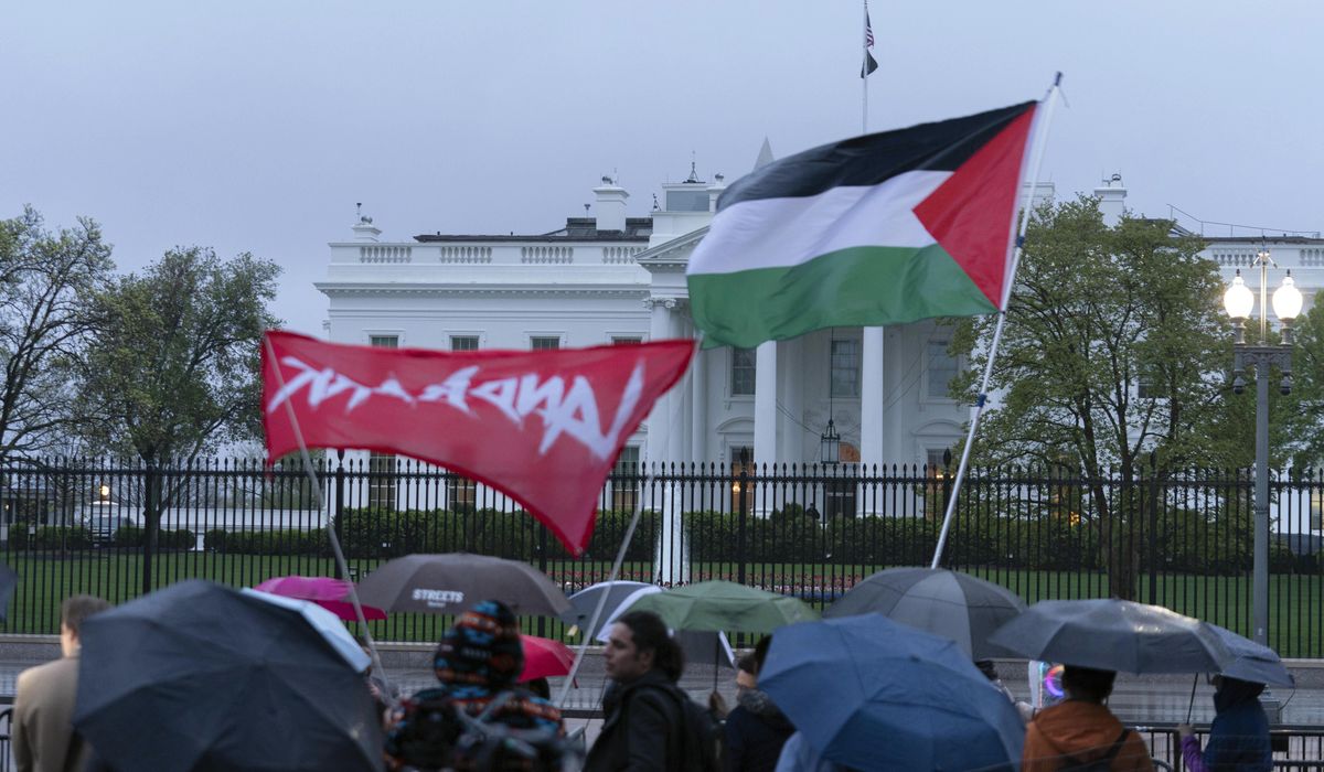 NextImg:Sen. Tom Cotton calls on Biden to charge pro-Hamas ‘lunatics’ who defaced D.C. statues