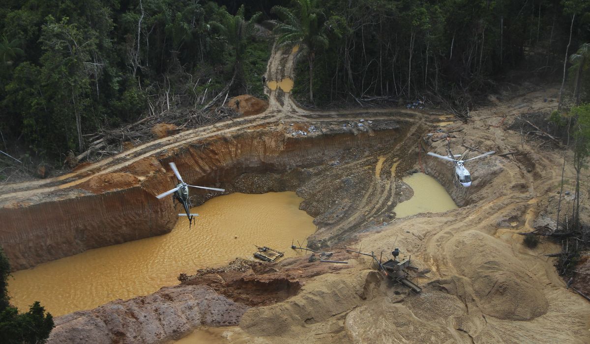 NextImg:Mercury exposure widespread among Yanomami tribe in Amazon, report finds