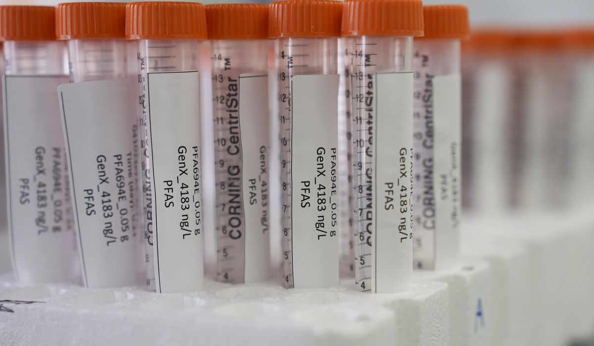 NextImg:Record levels of ‘forever chemicals’ found in wildlife near New Mexico base, hunters warned