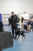Procession of K-9s B.png