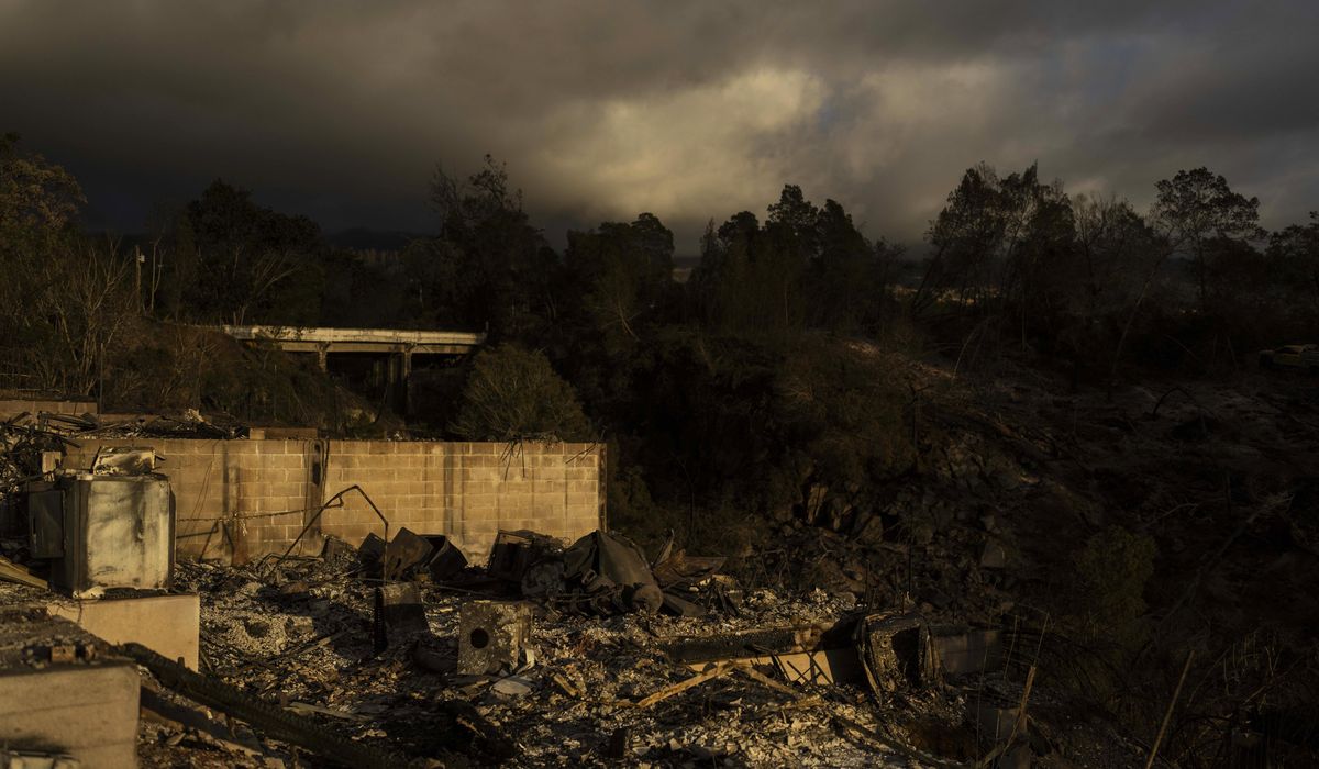 NextImg:Maui Fire Department to release after-action report on deadly Hawaii wildfires