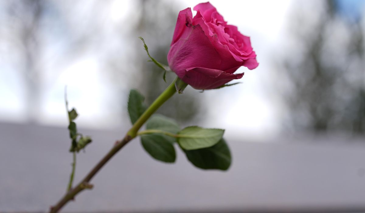 NextImg:25 years after Columbine, trauma shadows survivors of the school shooting