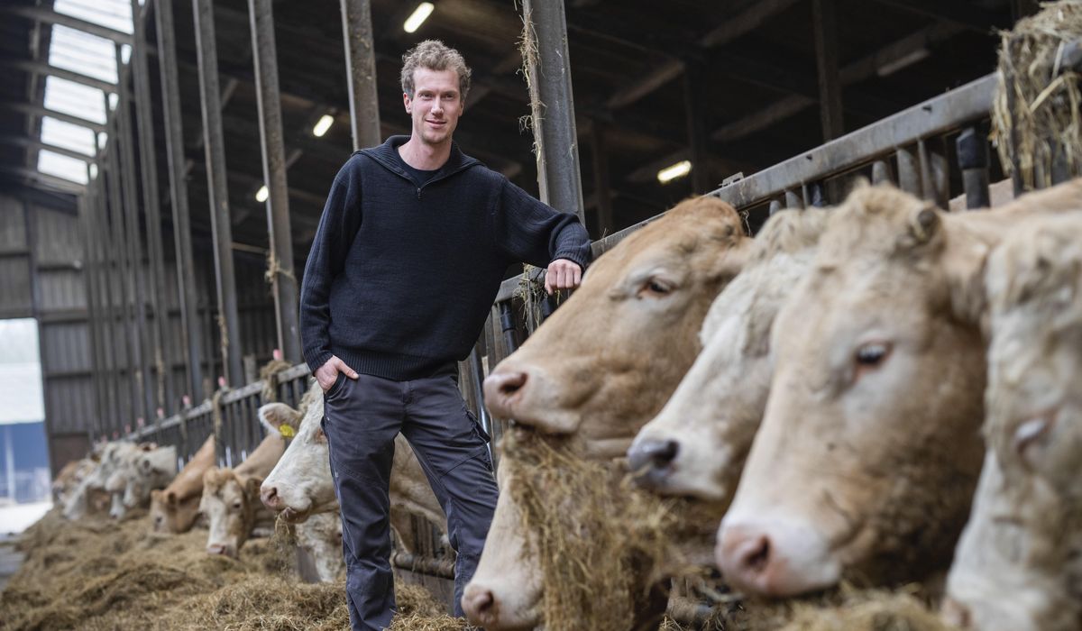 NextImg:Hard right makes hay with European farmers’ anger ahead of June elections