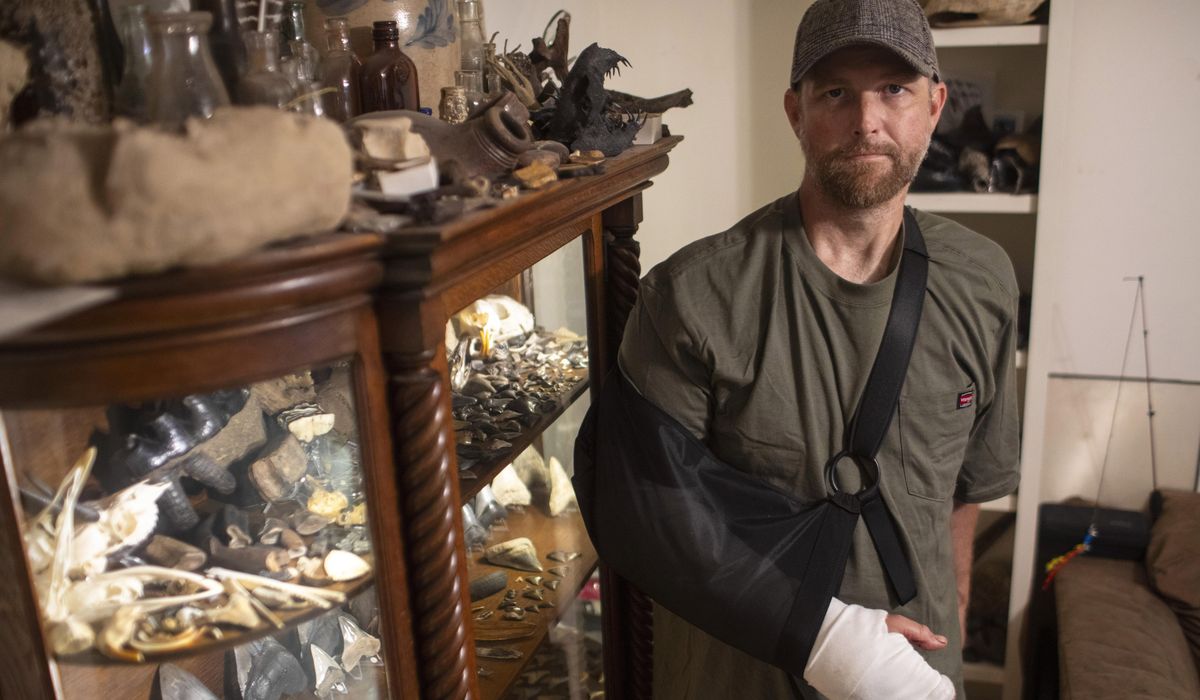 NextImg:Diver pinned under water by an alligator figured he had choice: Lose his arm or lose his life
