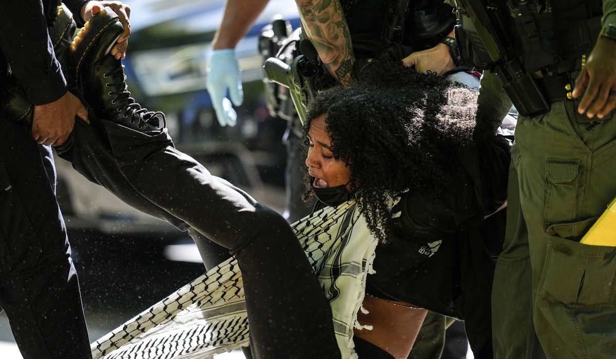 NextImg:A look at the protests about the war in Gaza that have emerged on U.S. college campuses
