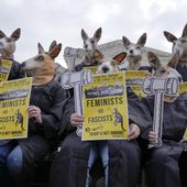 Demonstrators wearing kangaroo masks gather outside the Supreme Court as justices prepare to hear arguments on former President Donald Trump&#x27;s immunity claims, on Capitol Hill in Washington, April 25, 2024. (AP Photo/Mariam Zuhaib) **FILE**