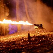 Ohio-based company Throwflame has created a robotic dog named the Thermonator that is capable of emitting 30-foot jets of fire. (Photo courtesy of Throwflame)