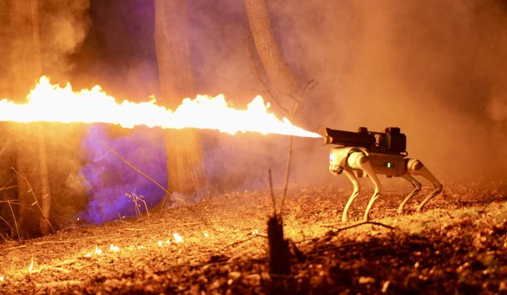 Ohio-based company Throwflame has created a robotic dog named the Thermonator that is capable of emitting 30-foot jets of fire. (Photo courtesy of Throwflame)