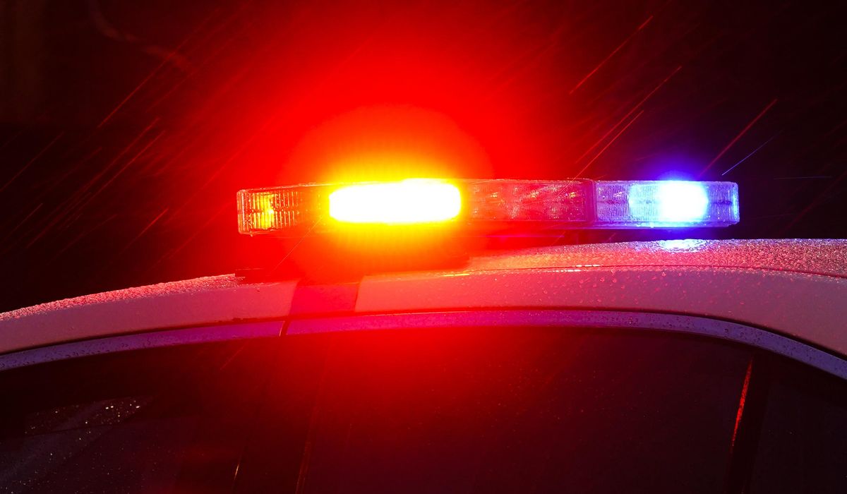 NextImg:Man arrested, accused of cutting down multiple trees in Los Angeles with a chainsaw