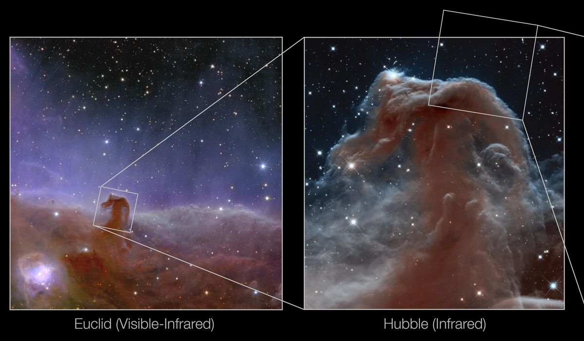 NextImg:Euclid space telescope captures stunning new images of the cosmos