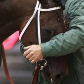 FILE - Uncle Lino is comforted after an injury during the 141st Preakness Stakes horse race at Pimlico Race Course, Saturday, May 21, 2016, in Baltimore. (AP Photo/Patrick Semansky)