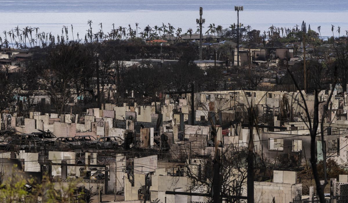 NextImg:Maui sues cell carriers over wildfire warning alerts that were never received during service outages