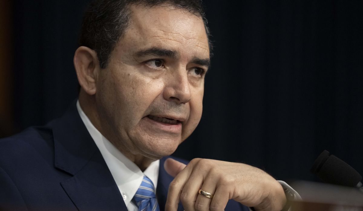 NextImg:Democratic congressman in Texas declares his innocence ahead of expected federal indictment