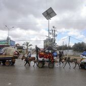 Palestinians flee from the eastern side of the southern Gaza city of Rafah after the Israeli army orders them to evacuate ahead of a military operation, in Rafah, Gaza Strip, Monday, May 6, 2024. The order affects tens of thousands of people and could signal a broader invasion of Rafah, which Israel has identified as Hamas&#x27; last major stronghold after seven months of war. (AP Photo/Ismael Abu Dayyah)