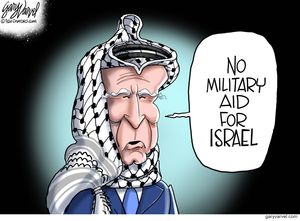 No military aid for Israel