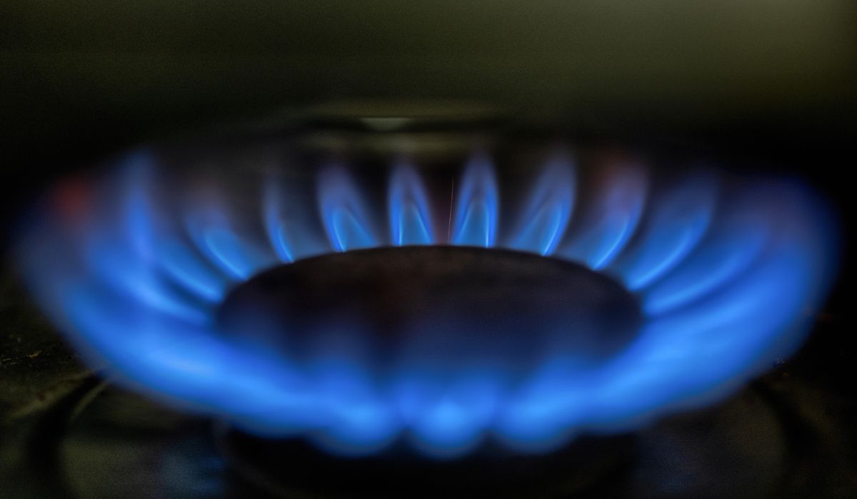 NextImg:Housing advocates sue over scope, cost of Maryland green-energy building requirements