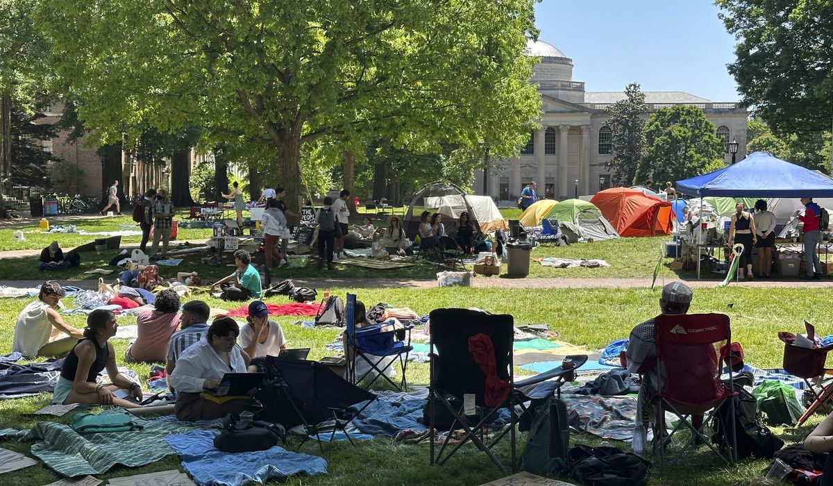 NextImg:University of North Carolina board cuts DEI funding, diverts money to public safety