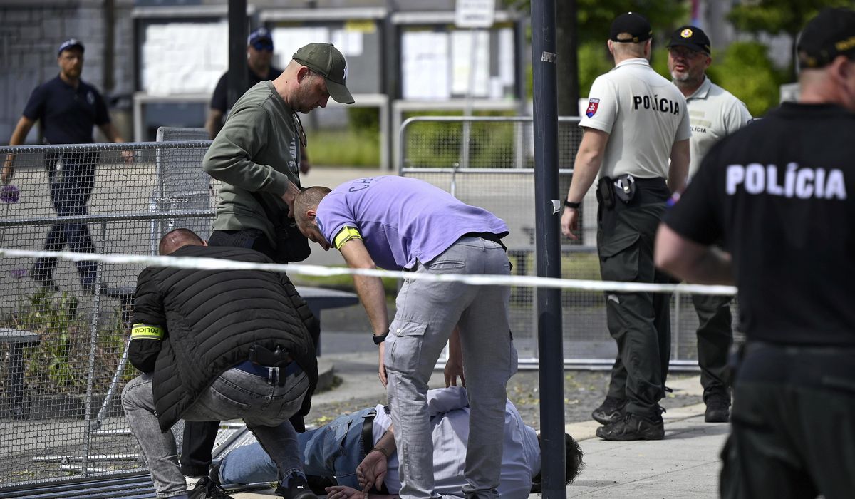 NextImg:Slovak interior minister says ‘lone wolf’ has been charged with shooting prime minister