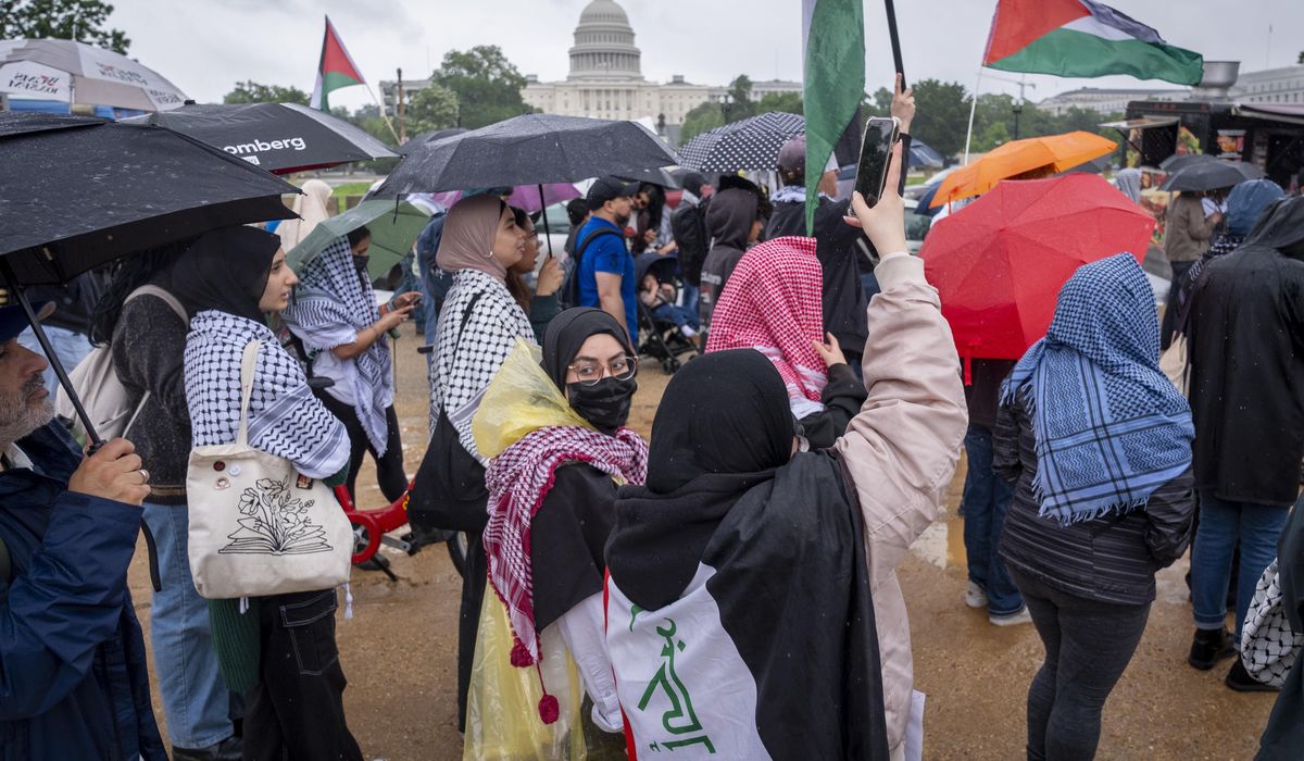 NextImg:Hundreds of pro-Palestinian protesters rally in the rain in D.C.