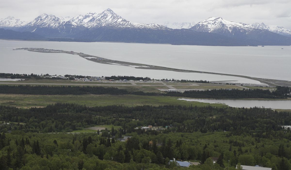 NextImg:Mother moose kills Alaskan who tried to photograph calves