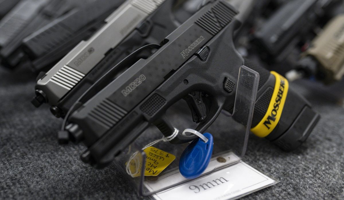 NextImg:Hunter Biden’s case for appeal: Gun law is unconstitutional