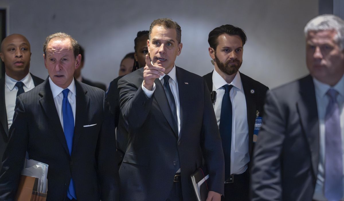 NextImg:Hunter Biden on state dinner guest list as criminal court dates loom