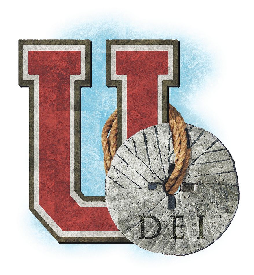 Colleges (universities) and diversity, equity and inclusion (DEI) initiatives illustration by Alexander Hunter/The Washington Times