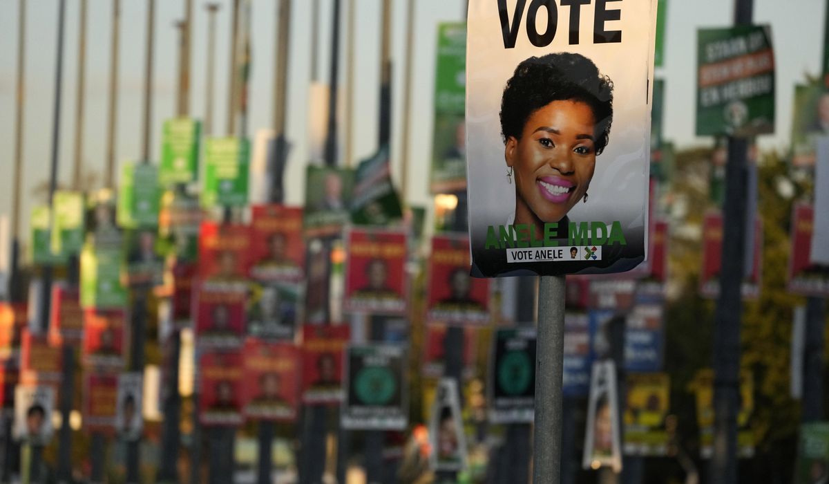 NextImg:As South Africa election nears, one candidate ditches political parties to go it alone