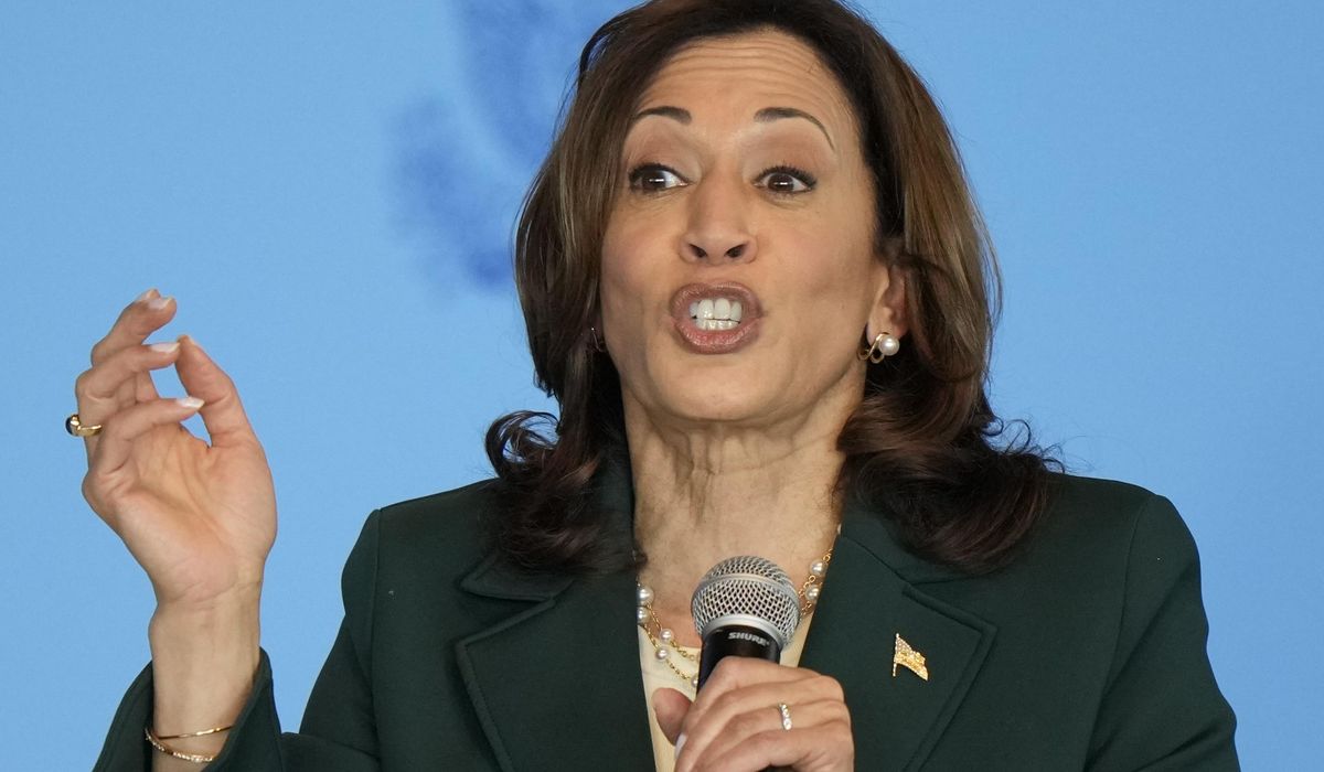 NextImg:Harris announces plans to help give 80% of Africa access to the internet, up from 40% now