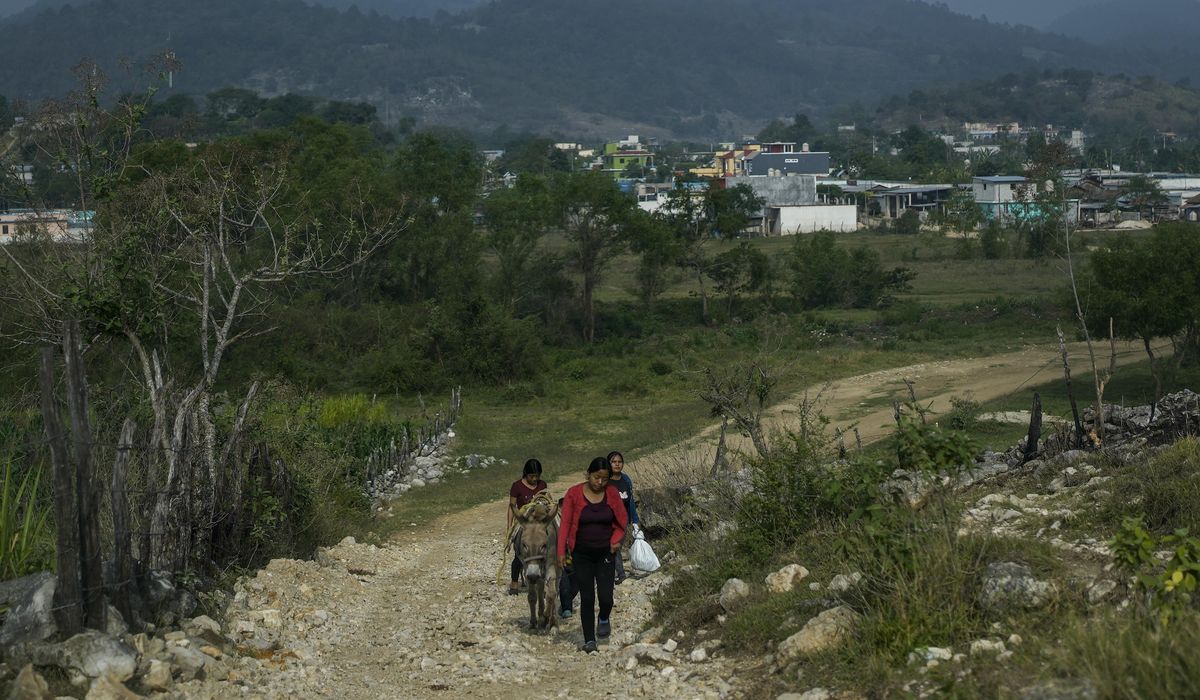 NextImg:Mexico’s next president is likely a woman. But in some Indigenous villages, men have all the power