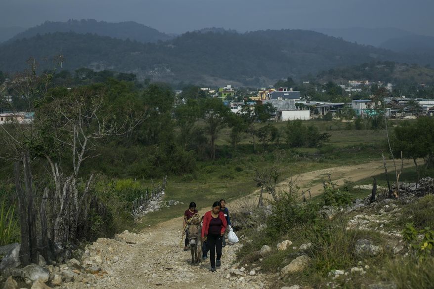 Young women walk in the morning in Plan de Ayala, a Tojolabal village in the Las Margaritas municipality of Chiapas state, Mexico, Thursday, May 2, 2024. Two women are on Mexico’s ballot for president while women in some Indigenous areas have no voice in their own villages. However, with help from younger generations, some Indigenous women are pushing for change. (AP Photo/Marco Ugarte)