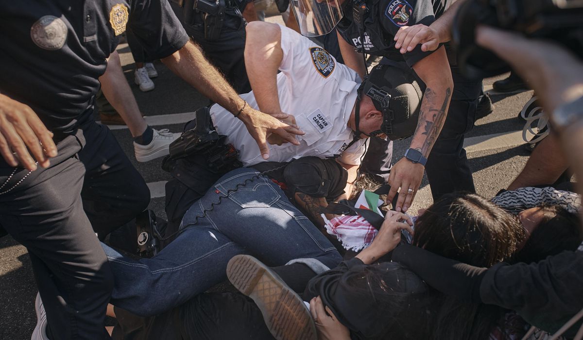 NextImg:34 taken into custody after pro-Palestinian protest at Brooklyn Museum, artwork damage reported