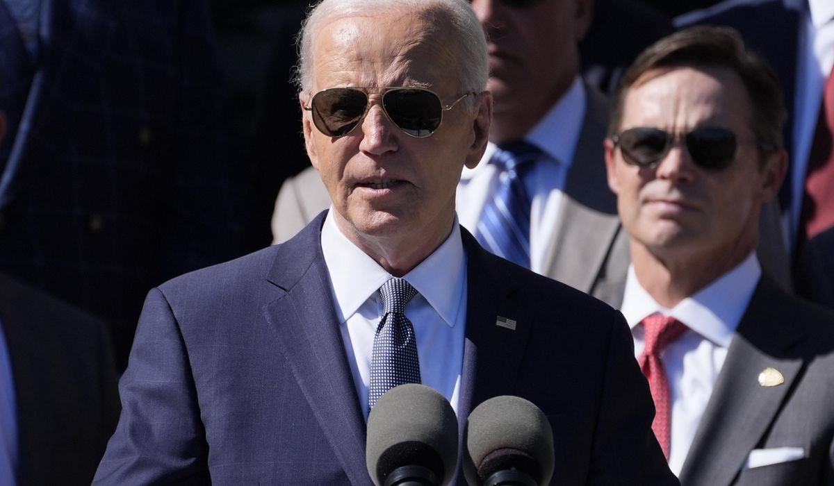 NextImg:Biden ducks strife at Democratic National Convention with Zoom nomination