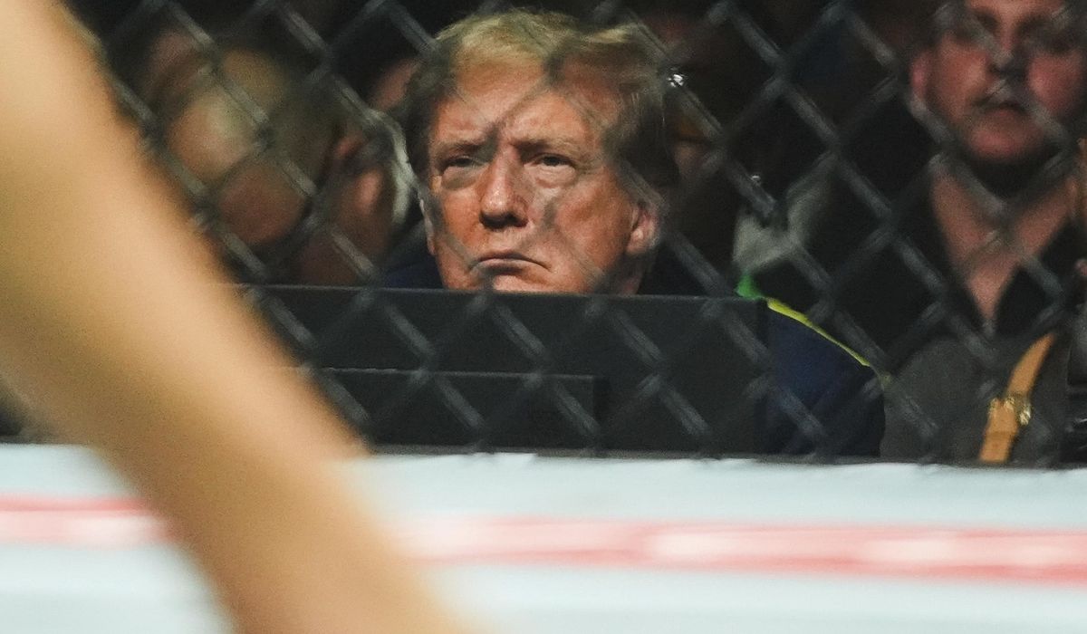 NextImg:Aaron Rodgers conspicuously passes on shaking Trump’s hand at UFC event