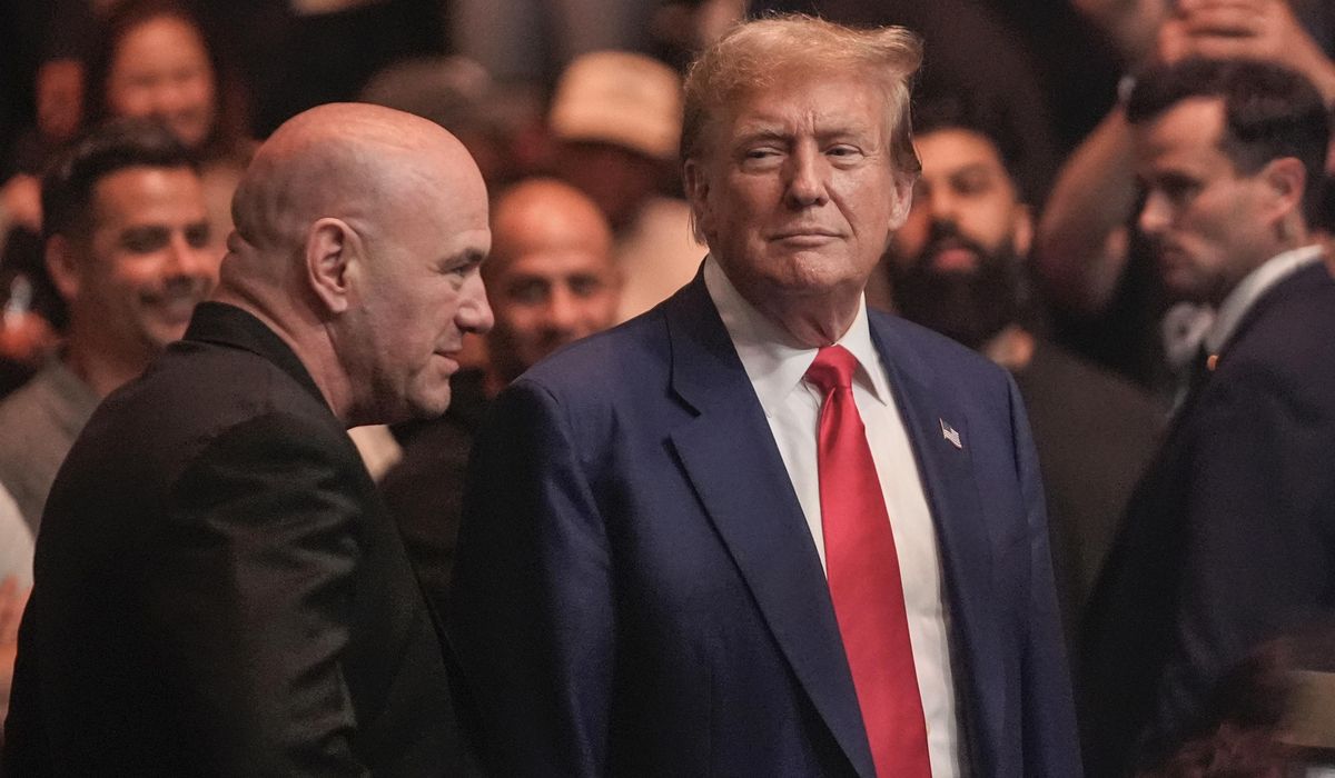 NextImg:Donald Trump jokes that ‘nasty, mean’ migrants should have UFC league because they’re ‘tough’