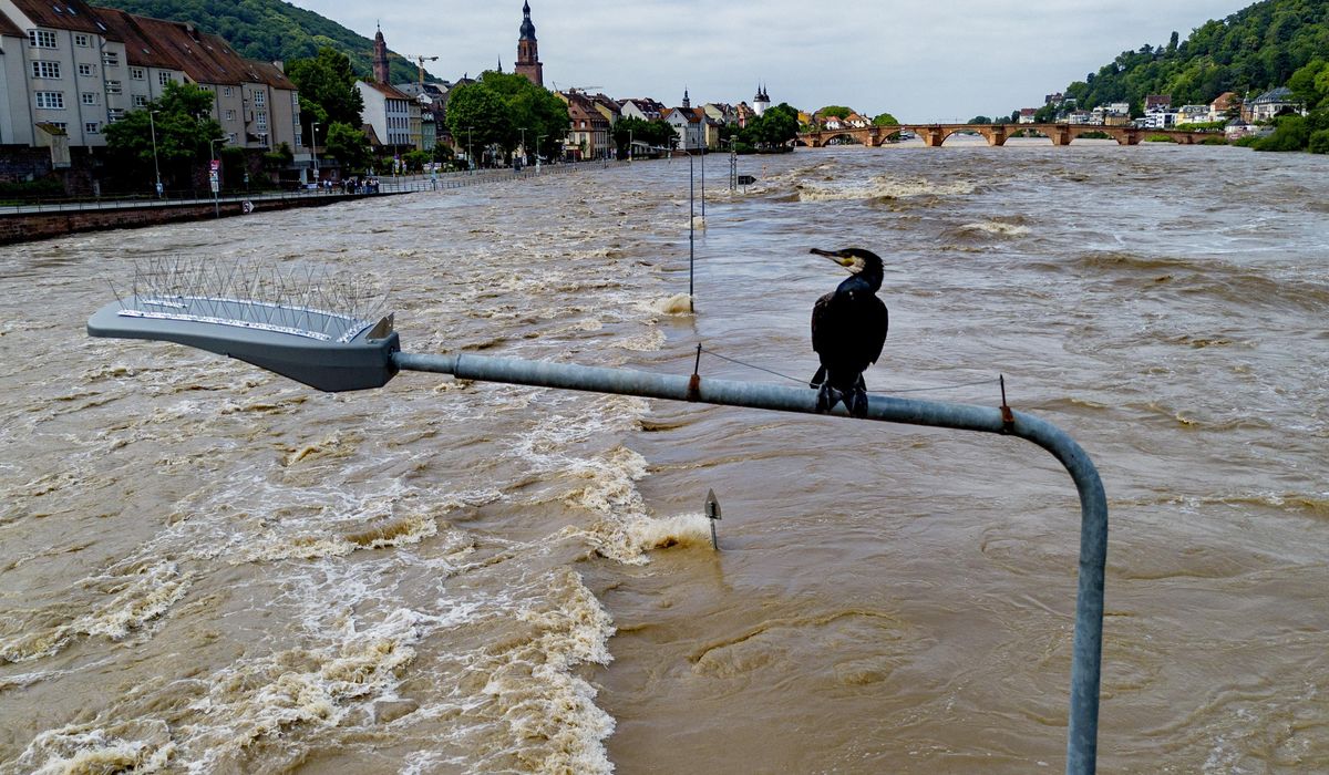 NextImg:4 people have died in floods in southern Germany. The situation remains tense