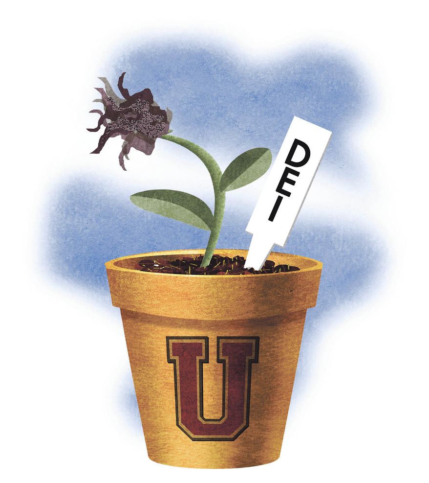 Diversity, equity and inclusion (DEI) programs on college (university) campuses illustration by Alexander Hunter/The Washington Times