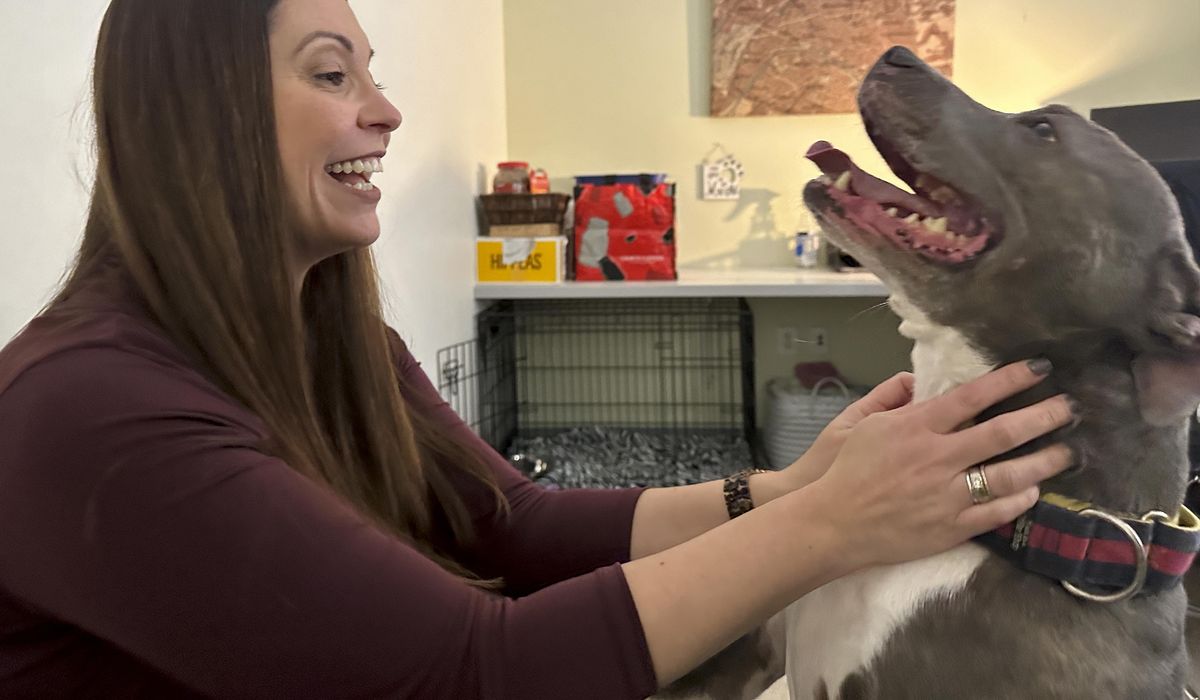 NextImg:American Humane pushes bill to assist country’s working dogs