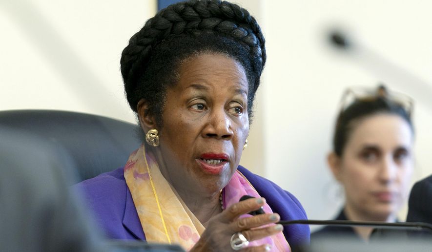 FILE - House Judiciary Crime and Federal Government Surveillance Subcommittee Ranking Member Rep. Sheila Jackson Lee, D-Texas, delivers opening statements during a hearing on oversight of the Drug Enforcement Administration, July 27, 2023, on Capitol Hill in Washington. Lee says she has been diagnosed with pancreatic cancer and is undergoing treatment. The Texas Democrat is seeking a 16th term and said late Sunday, June 2, 2024 that she's confident that doctors have developed a strong plan to target her disease. (AP Photo/Stephanie Scarbrough, File)