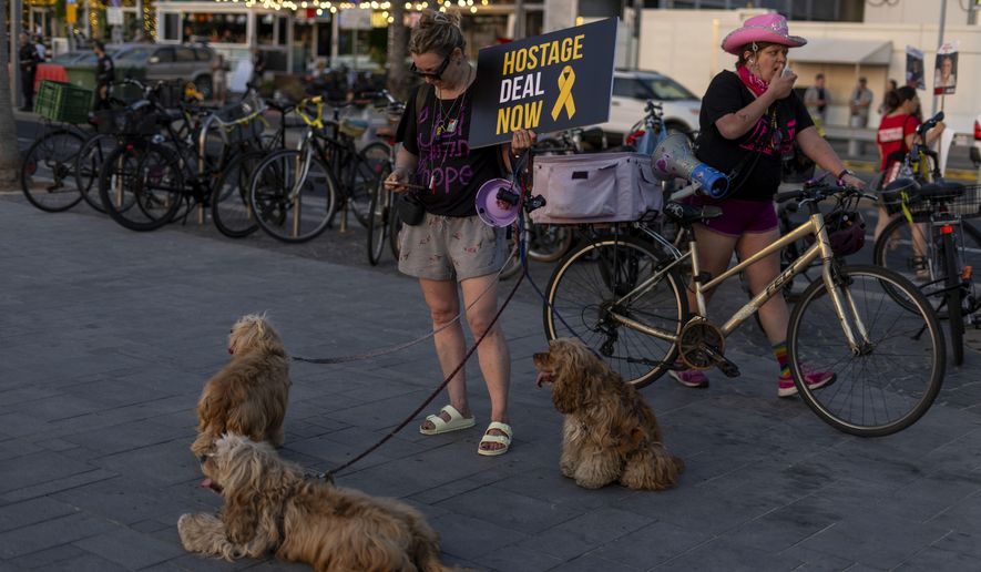 A Demonstrator holds sign during a protest calling for the release of the hostages from Hamas captivity in the Gaza Strip, outside of the U.S. Embassy Branch Office in Tel Aviv, Israel, Monday, June 3, 2024. (AP Photo/Ariel Schalit)
