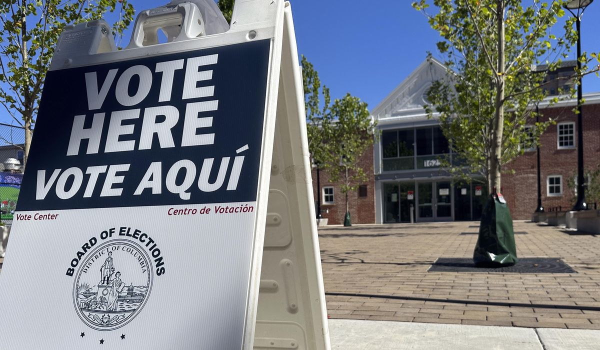 NextImg:Appeals court revives challenge to D.C.’s noncitizen voting law