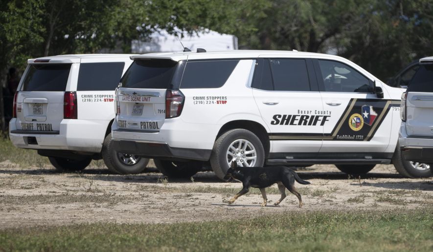 A dog walks behind Bexar County Sheriff vehicles during a law enforcement sting operation, Thursday, June 6, 2024, in San Antonio. (AP Photo/Darren Abate)