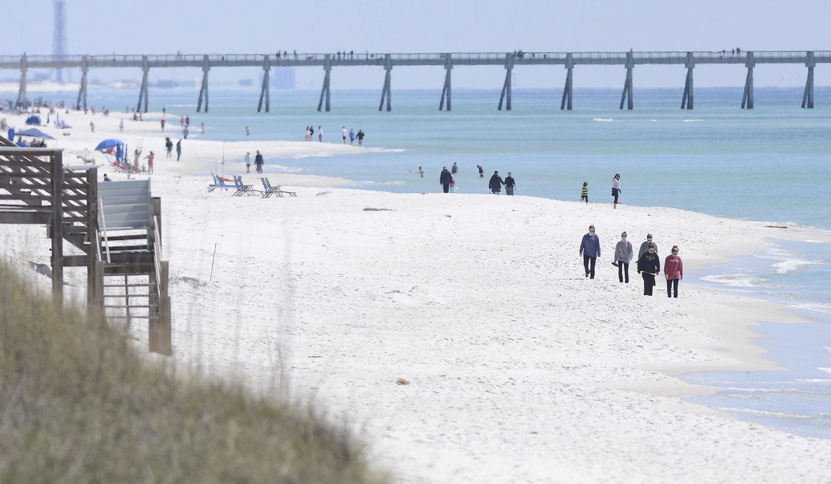 NextImg:Authorities warn of shark dangers along Florida Gulf Coast beaches after 3 people are attacked
